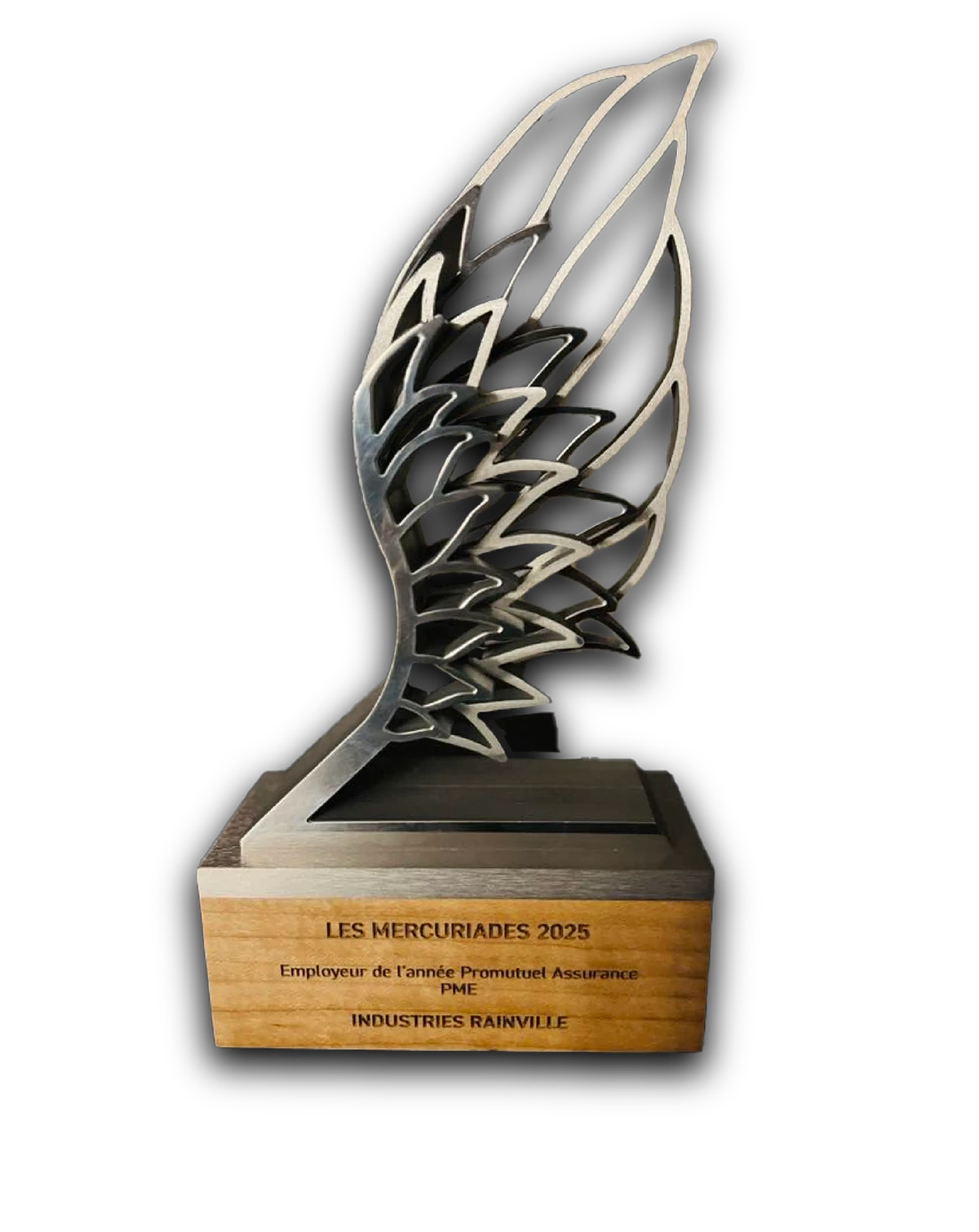 Trophée Employeur de l’année, Les Mercuriades